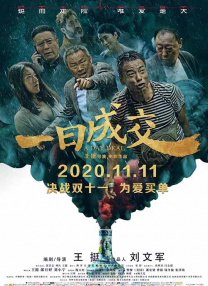 日本videosfree护士